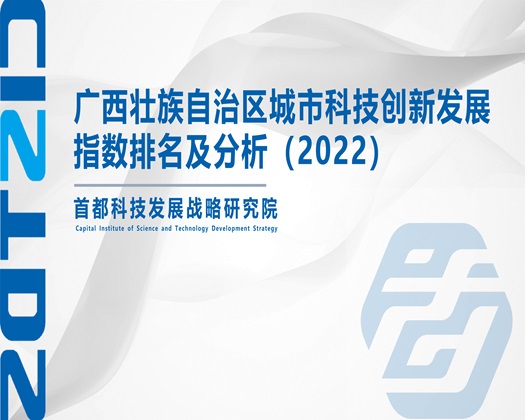 日五十岁肥大逼【成果发布】广西壮族自治区城市科技创新发展指数排名及分析（2022）